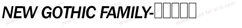NEW GOTHIC FAMILY字体转换